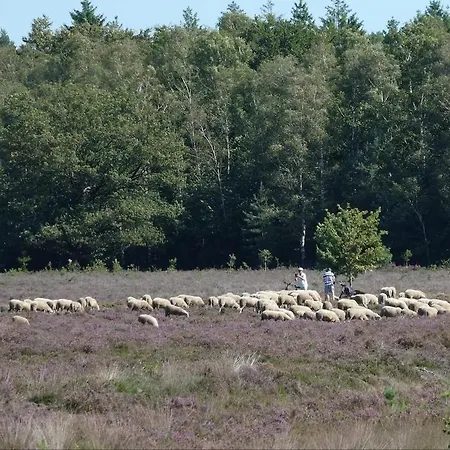 Elsje Holiday home Emst