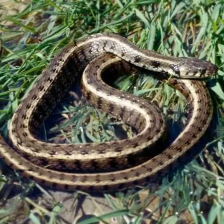 Elsje Holiday home *