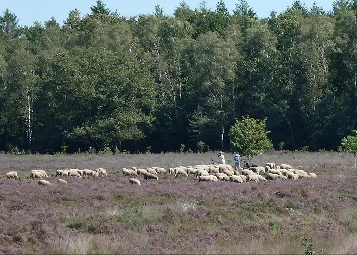 Elsje 펜션 엠스트